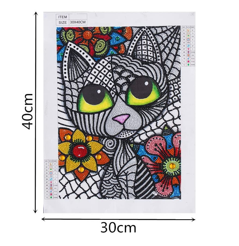 Diamond Painting Partial Special Drill 30x40