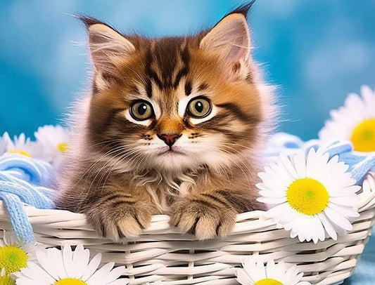 Diamond Painting Round Drill 30x40