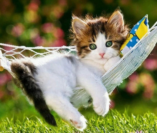 Diamond Painting Round Drill 30x40